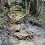 Photo of Starved Rock State Park