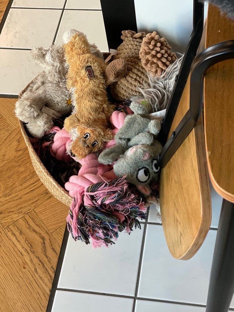 BENCHWARMERS Kungsgatan 2, Sweden Beer, Wine & Spirits