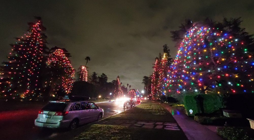 CHRISTMAS TREE LANE 47 Photos & 19 Reviews Christmas Trees