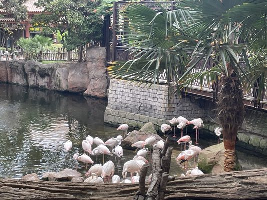 Bioparc Fuengirola by null