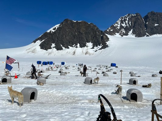 Alaska Helicopter Tours by null