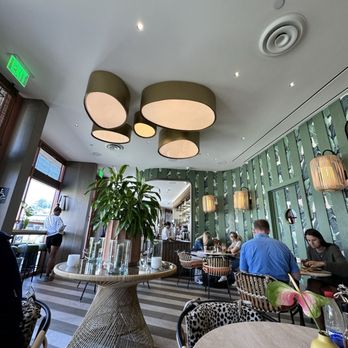 Dodo Bird Donuts - Donuts Near Me - La Jolla, California Dodo Bird Donuts - Donuts Near Me - La Jolla, California