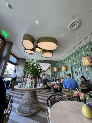 DODO BIRD Donuts by null