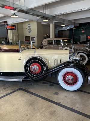 America's Packard Museum by null