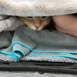 Lakeland Animal Clinic - My baby