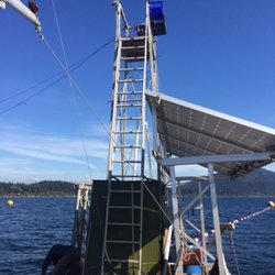 Lummi Island Wild