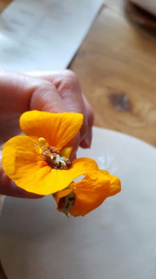 Restaurant Story by null