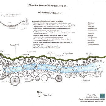 Flying Mammoths Landscape Design - Seasonal stream enhancement with native plants - Landscape Architects or Designers Near Me - Worcester, Vermont Flying Mammoths Landscape Design - Seasonal stream enhancement with native plants - Landscape Architects or Designers Near Me - Worcester, Vermont