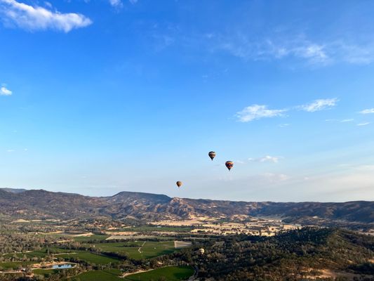 Napa Valley Aloft Hot Air Balloon Rides by null