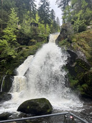 Triberg Waterfalls by null