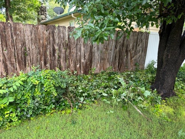 Caesar’s All Out Tree Service - tree service in Wichita, KS