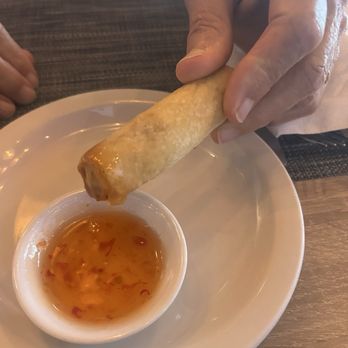 Kan’s Thai Kitchen - Spring roll came w/ lunch pad Thai - Thai Near Me - Fort Lauderdale, Florida