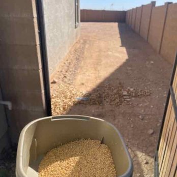 Bulwark Exterminating - Pest Control Near Me - Mesa, Arizona Bulwark Exterminating - Pest Control Near Me - Mesa, Arizona