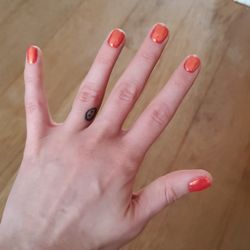Dream Nails By Sandra - Reasonable price. Clean facilities. Professional and welcoming environment. Great customer service.