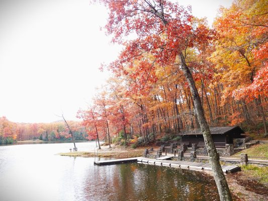 Babcock State Park by null