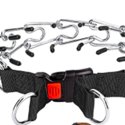 Augusta Dog Training - Example - of the prong collar we were advised to use.