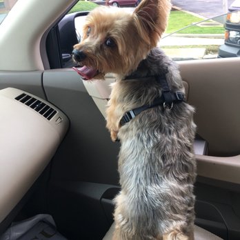 PetSmart - Pet Training Near Me - Oxon Hill, Maryland