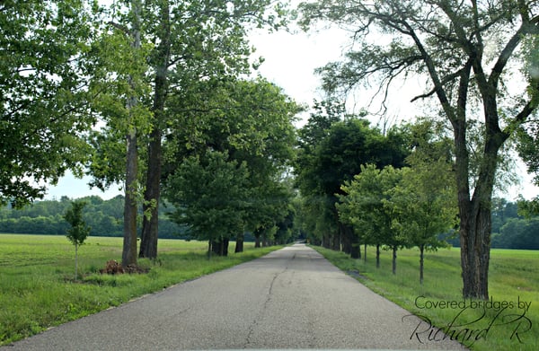 Meems Bottom Covered Bridge by null