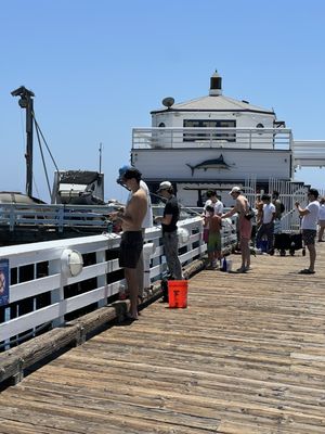 Malibu Pier by null