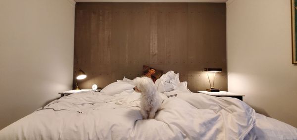 Kimpton Palladian Hotel by null
