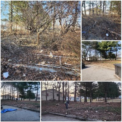 Tree Services - Tree Services:
Trimming & Pruning
Tree Removal & Stump Grinding
Health Assessments & Treatment
