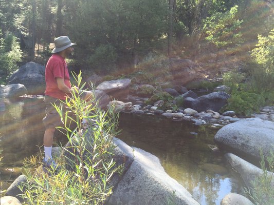 Camp Wawona by null