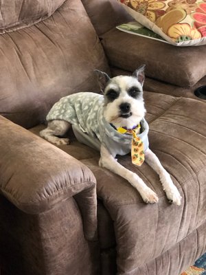 FINAL VICTORY ANIMAL RESCUE - Updated February 2026 - 10 Photos & 21