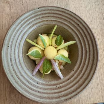 Oyster Oyster - Wild twist apple (pecan mousse, tarragon) - Vegetarian Near Me - Washington, DC, District of Columbia Oyster Oyster - Wild twist apple (pecan mousse, tarragon) - Vegetarian Near Me - Washington, DC, District of Columbia