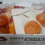 Photo of Savvy Sliders