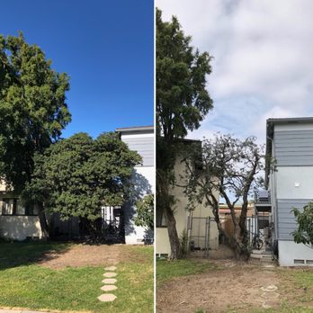 Artistic Tree Services Corp. - Before & After Tree Trimming - Tree Services Near Me