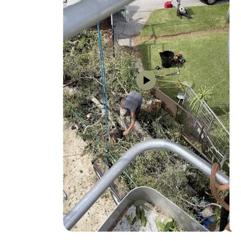 P.k. Tree service - Tree Services Near Me P.k. Tree service - Tree Services Near Me