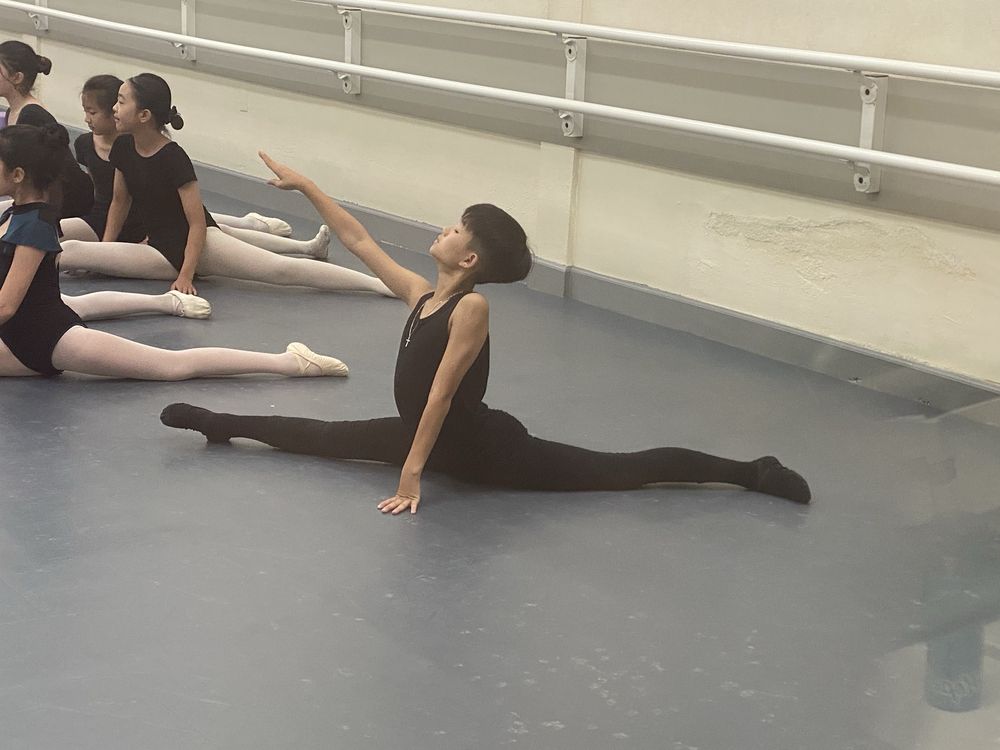 Li's Ballet Studio Logo