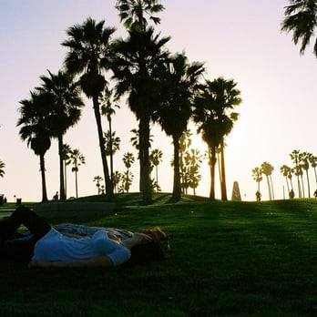 Venice Beach Boardwalk - Beaches Near Me - Venice, California Venice Beach Boardwalk - Beaches Near Me - Venice, California