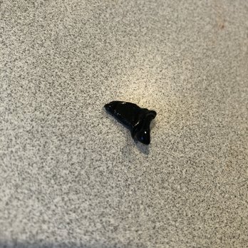 Vitale's of Ada - This hard piece of plastic was baked into my pizza. - Pizza Near Me - Ada, Michigan Vitale's of Ada - This hard piece of plastic was baked into my pizza. - Pizza Near Me - Ada, Michigan