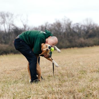 Full Circle Canine - Pet Training Near Me Full Circle Canine - Pet Training Near Me
