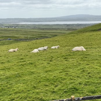 Cliffs of Moher - Local Flavor Near Me - Liscannor, CE