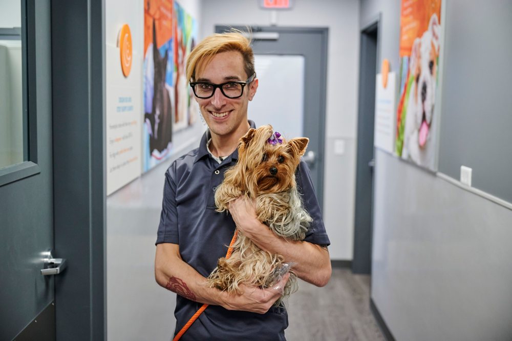 DOGTOPIA OF SOUTH SUMMERLIN Updated September 2024 169 Photos & 44