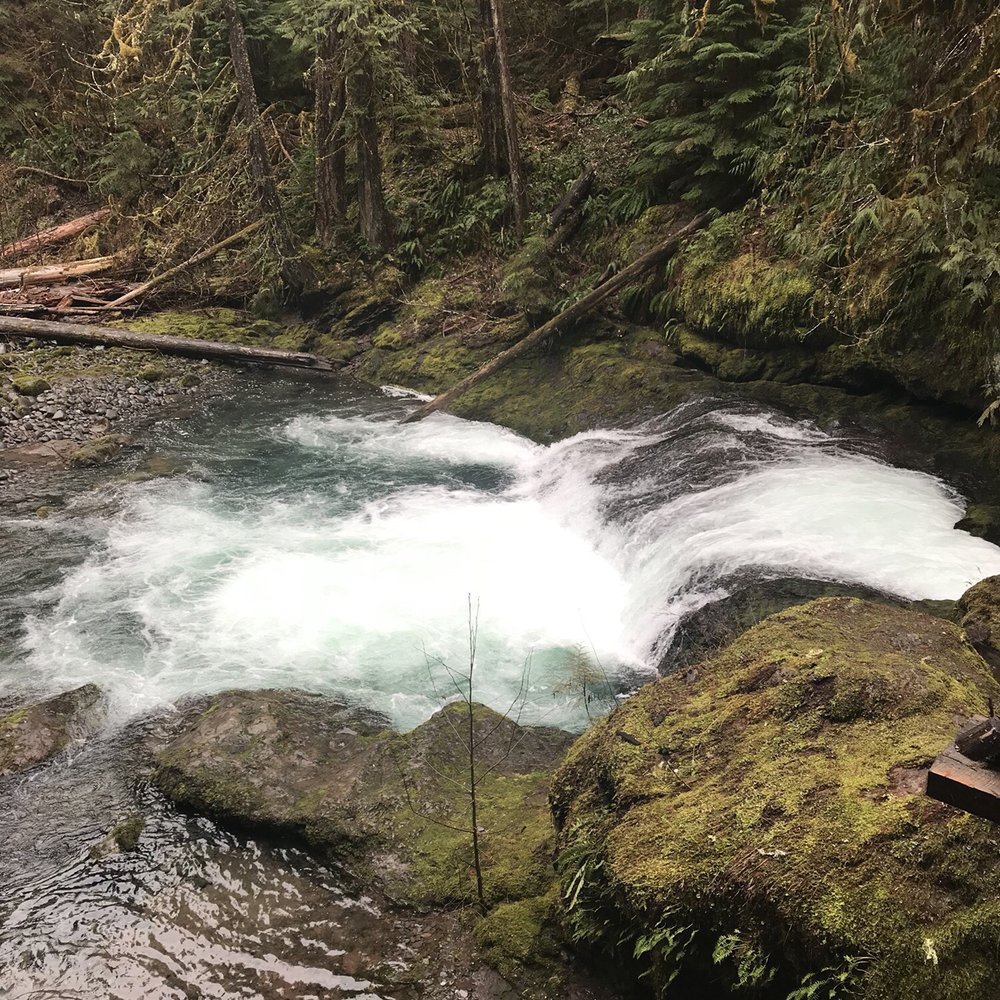 Bagby Hot Springs - Waterfall along the hike. - Parks Near Me - Estacada, Oregon Bagby Hot Springs - Waterfall along the hike. - Parks Near Me - Estacada, Oregon