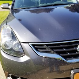 Bugs are waxed into the finish of my fender... DON'T GO HERE!!