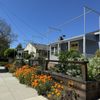 California Avenue hardware gift card