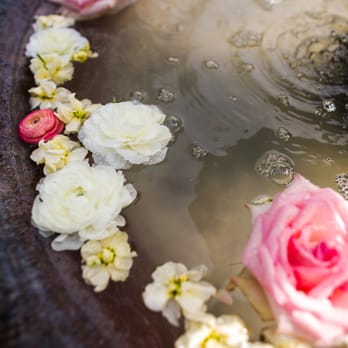 Petals, ink. - Fountain flowers - Floral Designers Near Me - Manor, Texas
