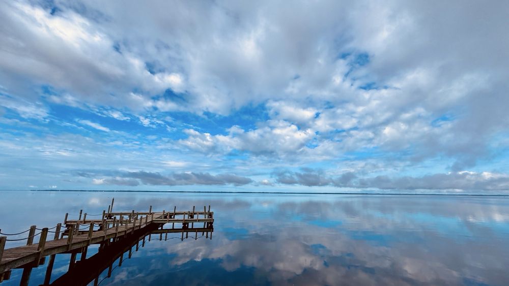 Swells'a Brewing Duck Dive Bar