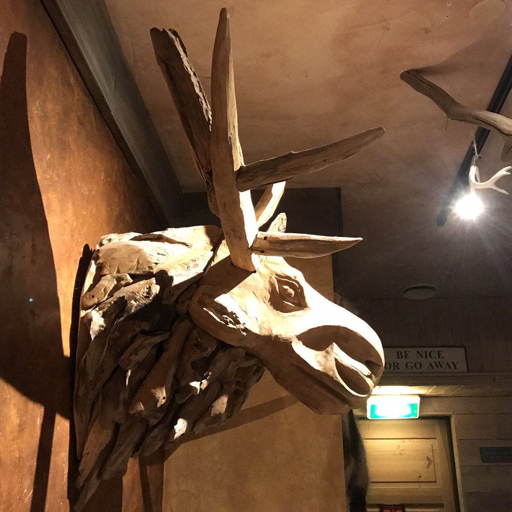 Woody's House - The requisite moose. - American Near Me - Steenwijk, OV