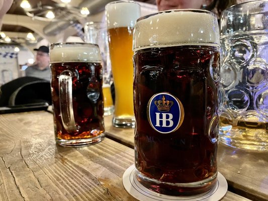 Hofbräu by null