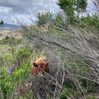 Cerro San Luis Trail - Hiking Near Me - San Luis Obispo, California