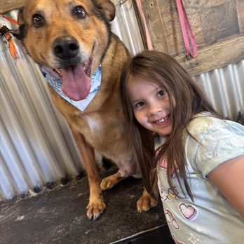 Crazy Paws Grooming - Pet Groomers Near Me Crazy Paws Grooming - Pet Groomers Near Me