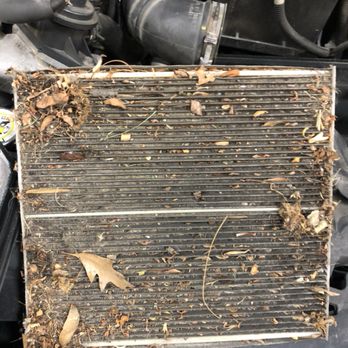 A Very Dirty Cabin Air Filter This Filters The Air Coming Into