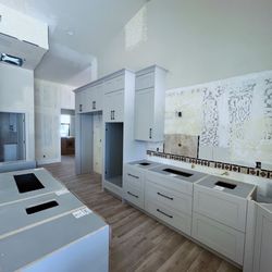 Dream Big Renovations - Frameless cabinets with shaker style doors and drawers and full height crown molding