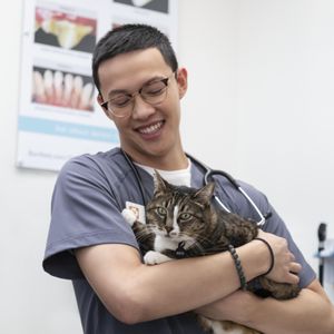 HUFFARD ANIMAL HOSPITAL - Updated March 2026 - 39 Photos & 116 Reviews
