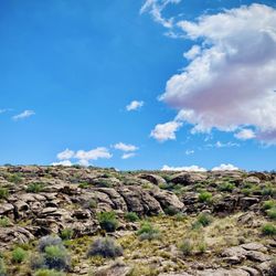 Virgin River Trail - Cottonwood Canyon/Hell Hole Trail